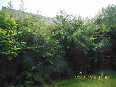 3394 Benson (9)_m.jpg